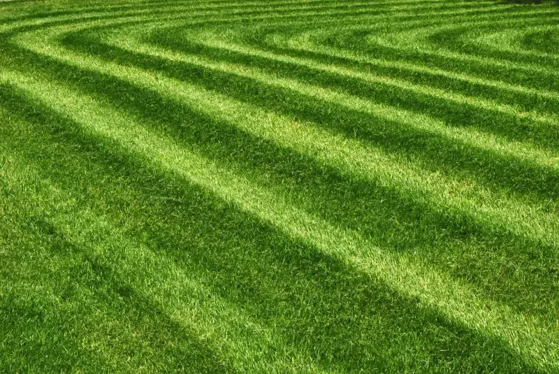 COMMERCIAL LAWN MAINTENANCE