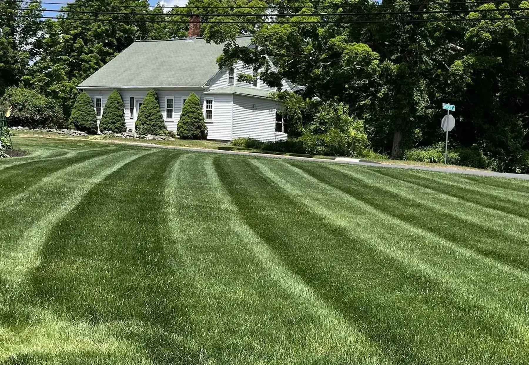 Lawn Fertilization Page Hero