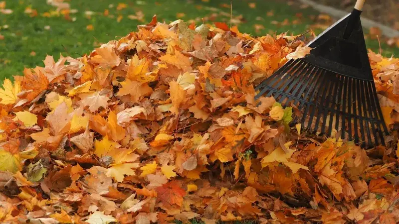 COMMERCIAL PROPERTY CLEANUPS