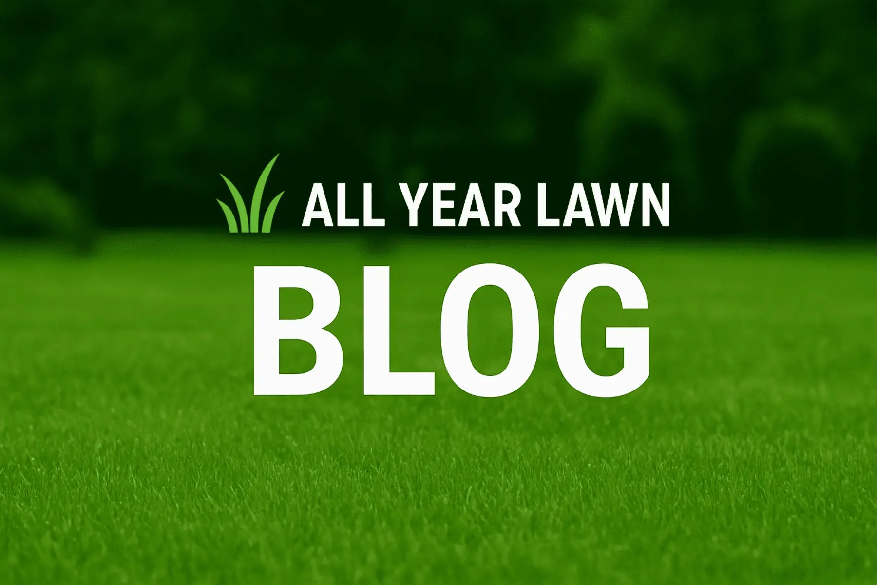 Blog Page Hero