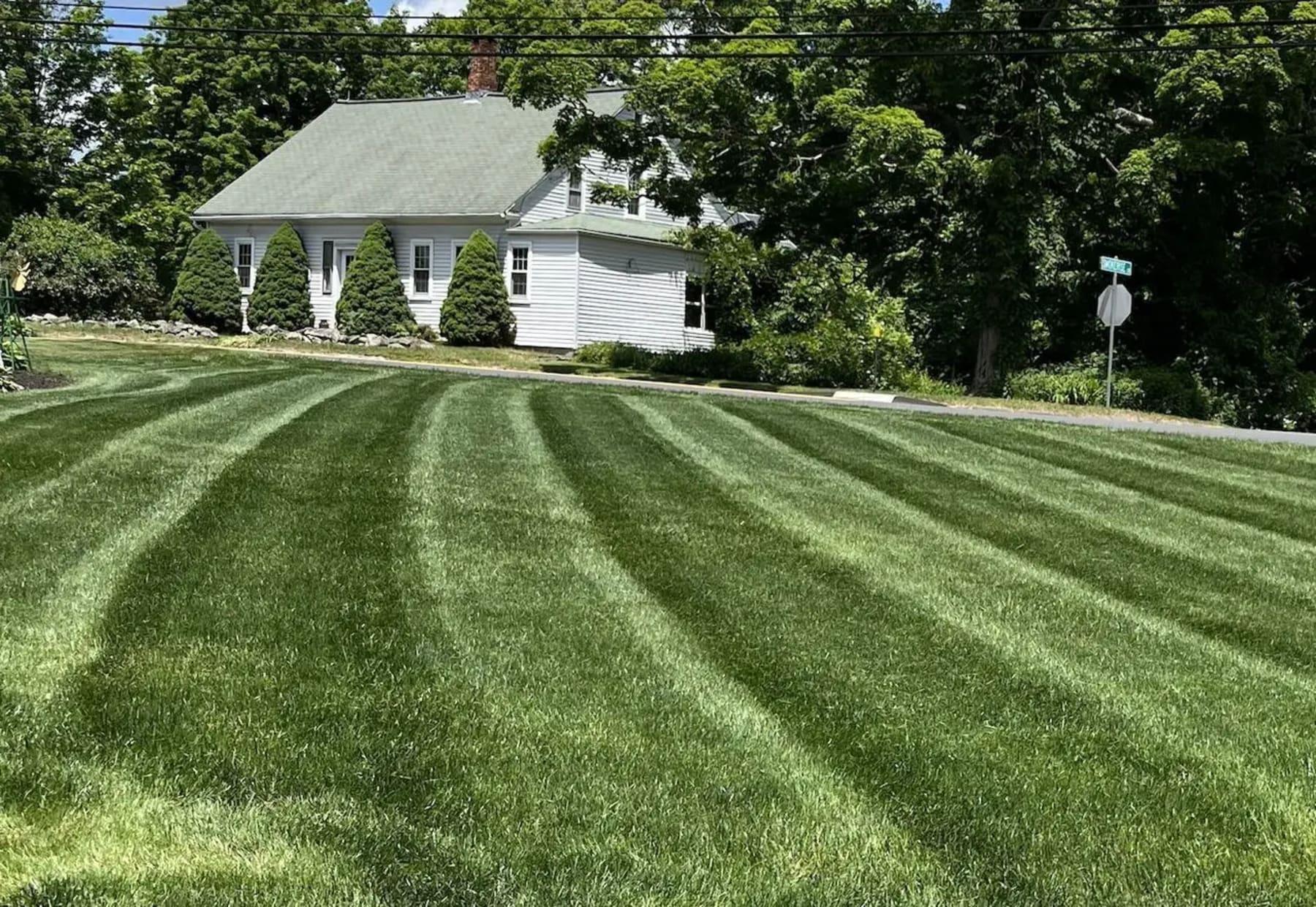 Lawn Fertilization Page Hero
