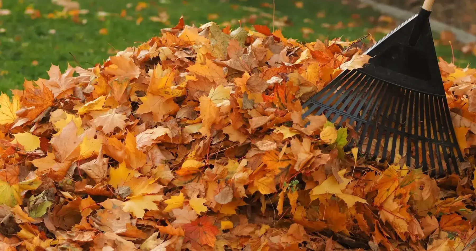 Property Cleanups Page Hero