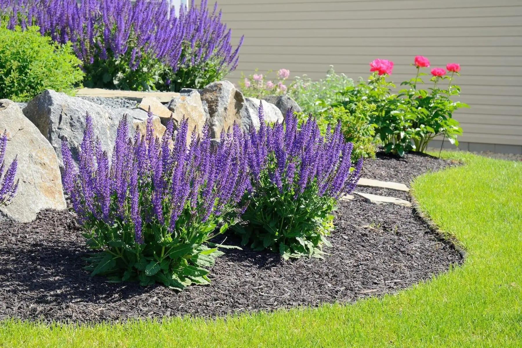 Garden Maintenance & Mulch Installations Page Hero